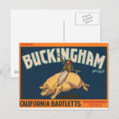 Buckingham Postkarte (Vorne/Hinten)