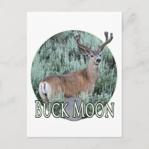 Buckmond Postkarte