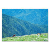 Bucks an den Bergen Fotodruck (Vorne)