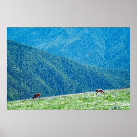 Bucks an den Bergen Poster (Vorne)