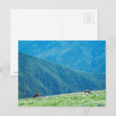 Bucks an den Bergen Postkarte (Vorne/Hinten)