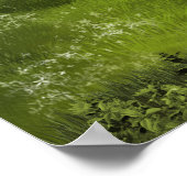 Buckskin Appaloosa Pferd Poster (Ecke)