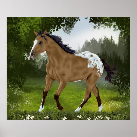Buckskin Appaloosa Pferd Poster (Vorne)