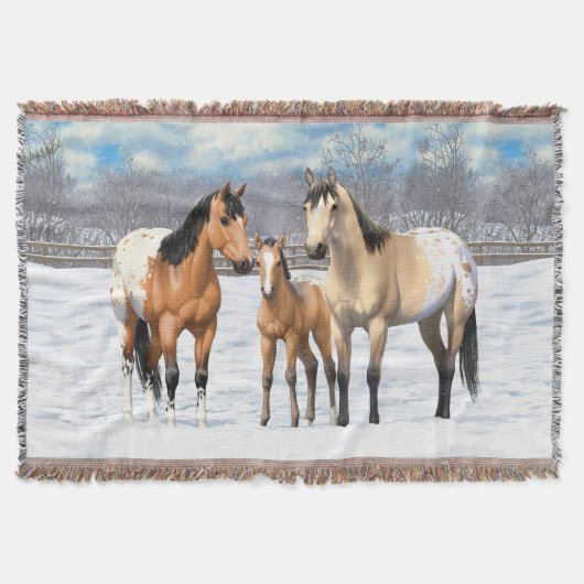 Buckskin Appaloosa Pferde im Schnee Decke (Vorderseite)