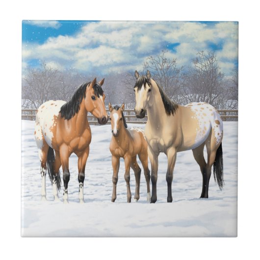Buckskin Appaloosa Pferde im Schnee Fliese (Vorderseite)