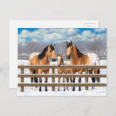 Buckskin Appaloosa Pferde im Schnee Postkarte (Vorne/Hinten)