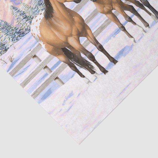 Buckskin Appaloosa Pferde im Schnee Seidenpapier (Ausschnitt)