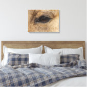 Buckskin Auge Leinwanddruck (Insitu (Schlafzimmer))