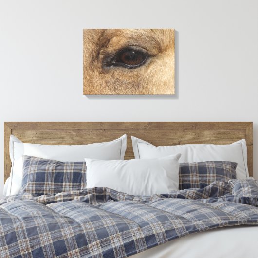 Buckskin Auge Leinwanddruck (Insitu (Schlafzimmer))