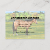 Buckskin Dun Quarter Horse Visitenkarte (Rückseite)