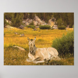 Buckskin Horse Foal Portrait Poster