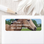 Buckskin Mustang Mailing Label (Insitu)