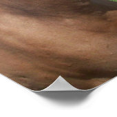 Buckskin Mustang Poster (Ecke)
