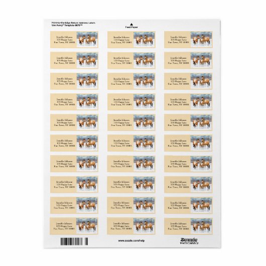 Buckskin Paint Horns in Snow (Vorne)