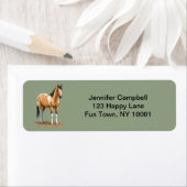 Buckskin Pinto Dun Paint Horse Staillion (Insitu)