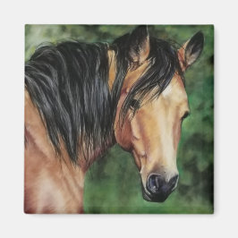 Buckskin Quarter Horse Mare Magnet