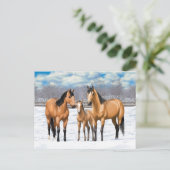 Buckskin Quarter Pferde im Schnee Postkarte (Stehend Vorderseite)