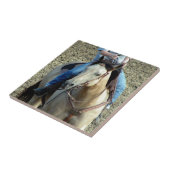 Buckskin Rodeo Horse Fliese (Seite)