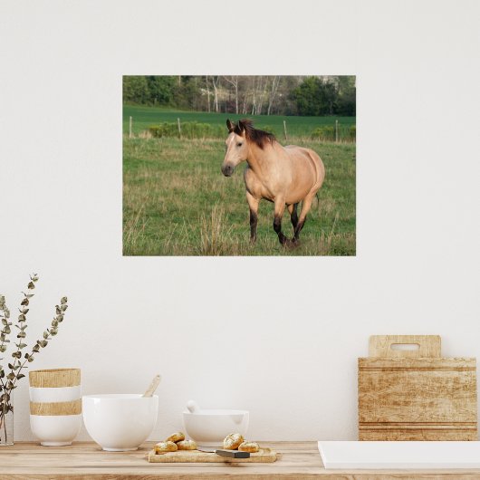 Buckskin Stroll Poster (Küche)