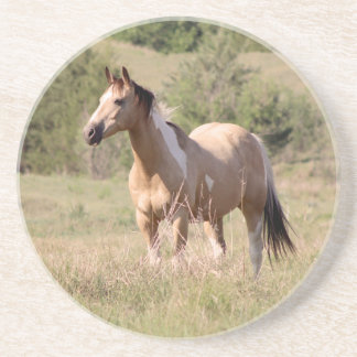 Buckskin Tobiano Horse Posing in Pasture Photo Getränkeuntersetzer