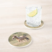 Buckskin Tobiano Horse Posing in Pasture Photo Getränkeuntersetzer (Seite)