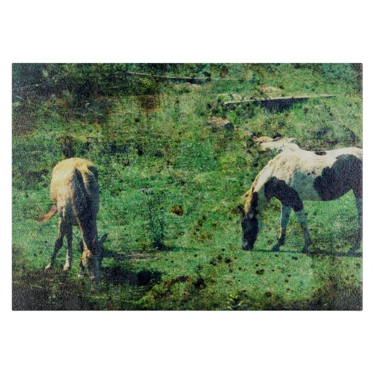 Buckskin und Pinto Grunge Schneidebrett (Vorderseite)