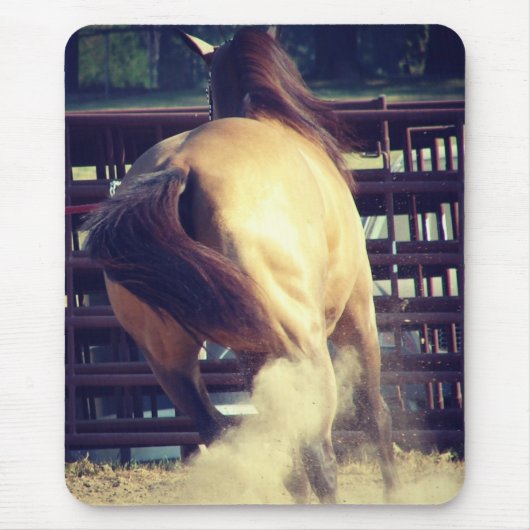 Buckskin wirft Staub auf Mousepad (Vorne)