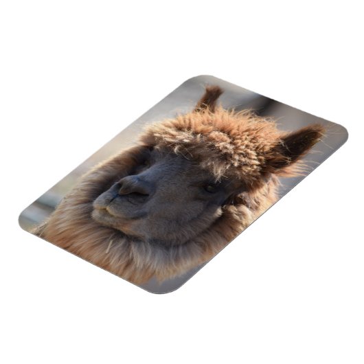 BUCKWHEAT MAGNET (Linke Seite)