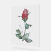 BUD-DESIGN-ROSE für Acrylzeichen Acrylschild (Winkel)