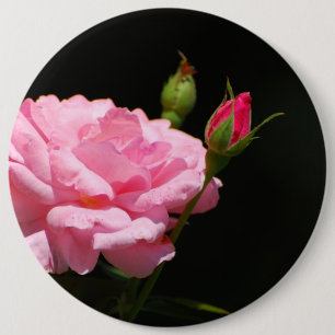 Bud einer Rose Button