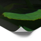 Bud einer Rose Poster (Ecke)