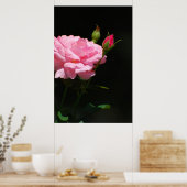 Bud einer Rose Poster (Küche)