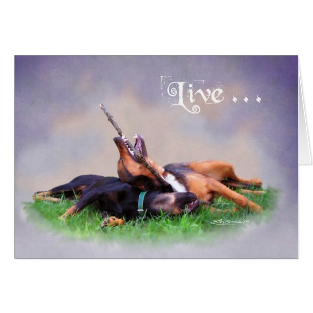 Bud & Gabby (Vorderseite (Horizontal))