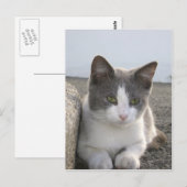 "Bud in color" Postkarte (Vorne/Hinten)