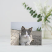 "Bud in color" Postkarte (Stehend Vorderseite)