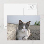 "Bud in color" Postkarte (Vorne/Hinten)