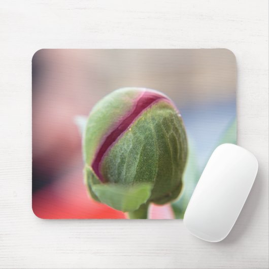 Bud of a Peony/Pfingstrosen Mousepad (Mit Mouse)