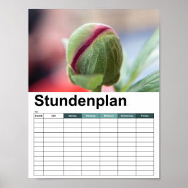 Bud of a Peony/Pfingstrosen Poster