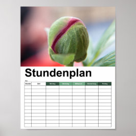 Bud of a Peony/Pfingstrosen Poster
