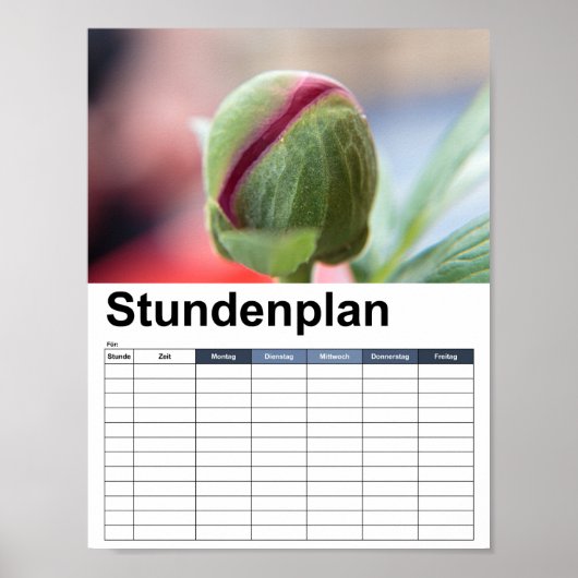 Bud of a Peony/Pfingstrosen Poster (Vorne)