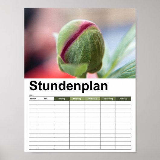 Bud of a Peony/Pfingstrosen Poster (Vorne)