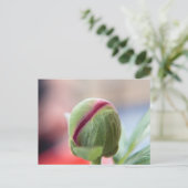 Bud of a Peony/Pfingstrosen Postkarte (Stehend Vorderseite)