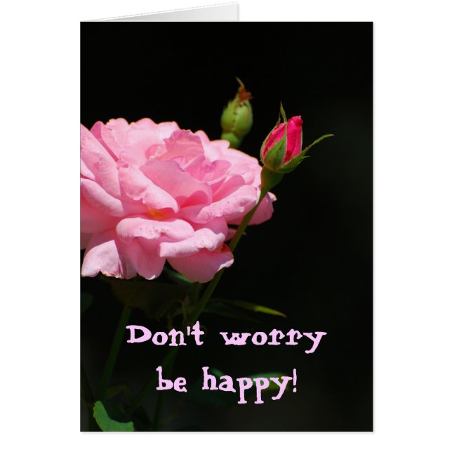 Bud of a Rose, mach dir keine Sorgen, sei glücklic (Vorne)