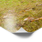 Bud Ogle House, Great Smoky Mountains National Fotodruck (Ecke)