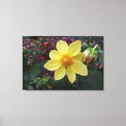 Bud und Blume Leinwanddruck (Vorderseite)