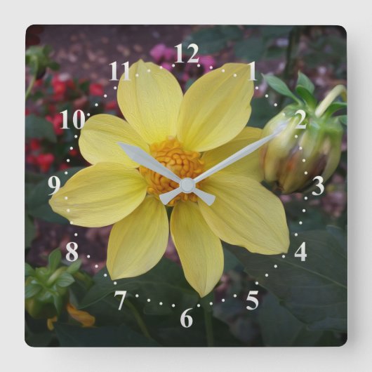 Bud und Blume Quadratische Wanduhr (Vorderseite)