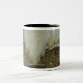 Budapest im Schnee Zweifarbige Tasse (Mittel)