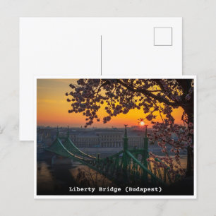 Budapester hungrige Vintage Freiheitsbrücke Gesche Postkarte