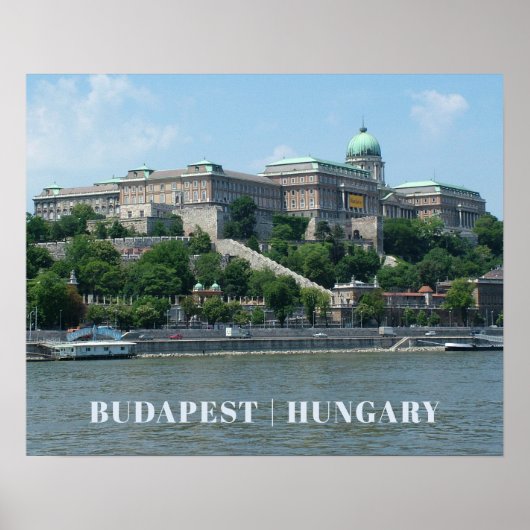 Budapester Zollplakat 1 Poster (Vorne)