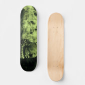 Buddah friedlich skateboard (Vorderseite)